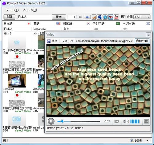 polyglotvideosearch03.jpg